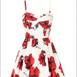 Stop Staring Poppy Swing Dress